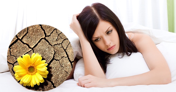 Mua Gel Bôi Kích Thích Điểm G Eros ở đâu chính hãng?
