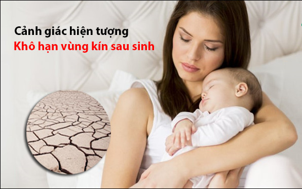 Gel Bôi Trơn, Tăng Khoái Cảm Cho Nữ Provocative Gel