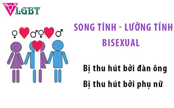 Bisex hay bisexual là gì? 